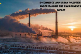 E-Commerce and Urban Pollution |