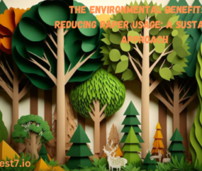 The Environmental Benefits of Reducing Paper Usage