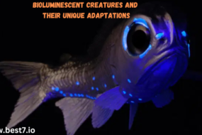 Bioluminescent Creatures and Their Unique Adaptations