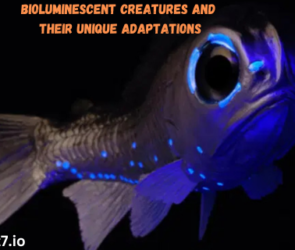 Bioluminescent Creatures and Their Unique Adaptations