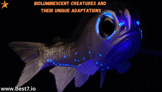 Bioluminescent Creatures and Their Unique Adaptations