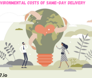 Environmental Costs of Same-Day Delivery