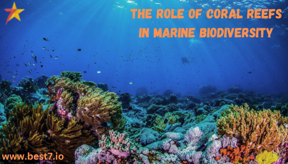 The Role of Coral Reefs in Marine Biodiversity