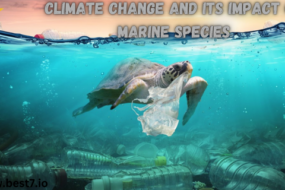 Climate Change and Its Impact on Marine Species