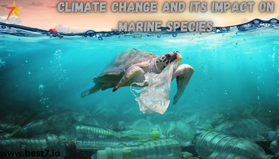 Climate Change and Its Impact on Marine Species