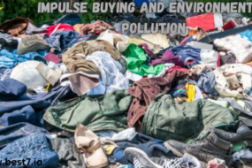 Impulse Buying and Environmental Pollution