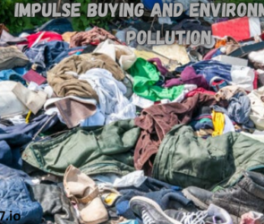 Impulse Buying and Environmental Pollution