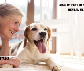 Role of Pets in Supporting Mental Health