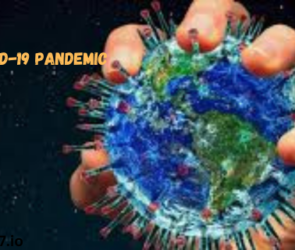 The COVID-19 Pandemic