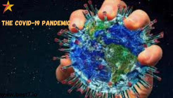 The COVID-19 Pandemic