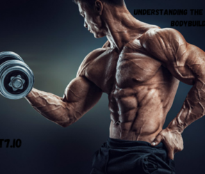 Understanding the Principles of Bodybuilding