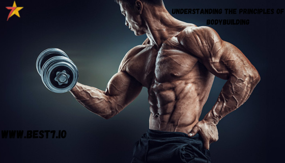 Understanding the Principles of Bodybuilding